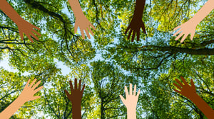Blog Banner (1)